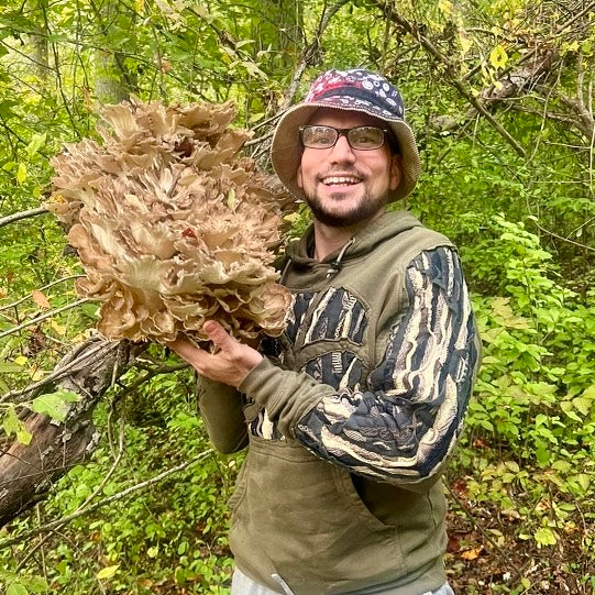 Maitake Mushroom Spotlight: A Miracle of the Forest - BaltiSpore