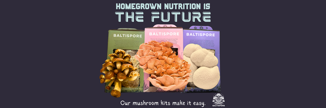 BaltiSpore mushroom grow kits displayed with fruiting Chestnut, Pink Oyster, and Lion’s Mane mushrooms in front. Text above reads “Homegrown Nutrition Is the Future” and below reads “Our mushroom kits make it easy.”