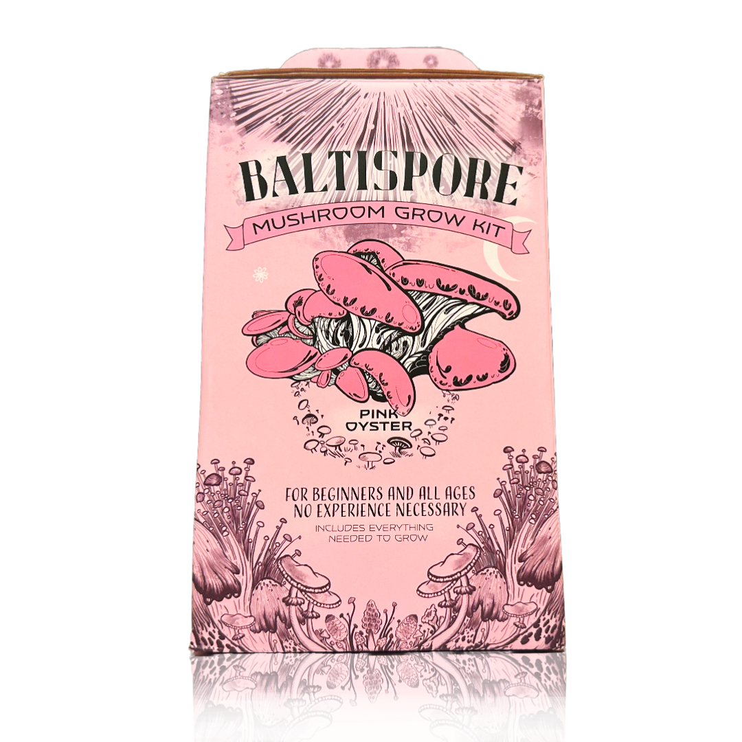 Ready-To-Fruit Pink Oyster Mushroom Grow Kit