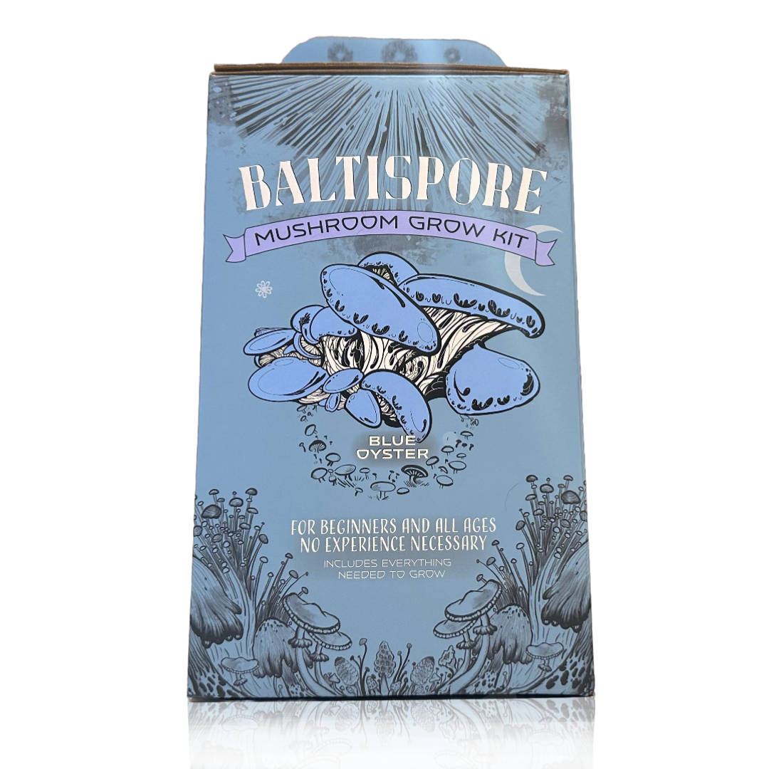Ready-To-Fruit Blue Oyster Mushroom Grow Kit