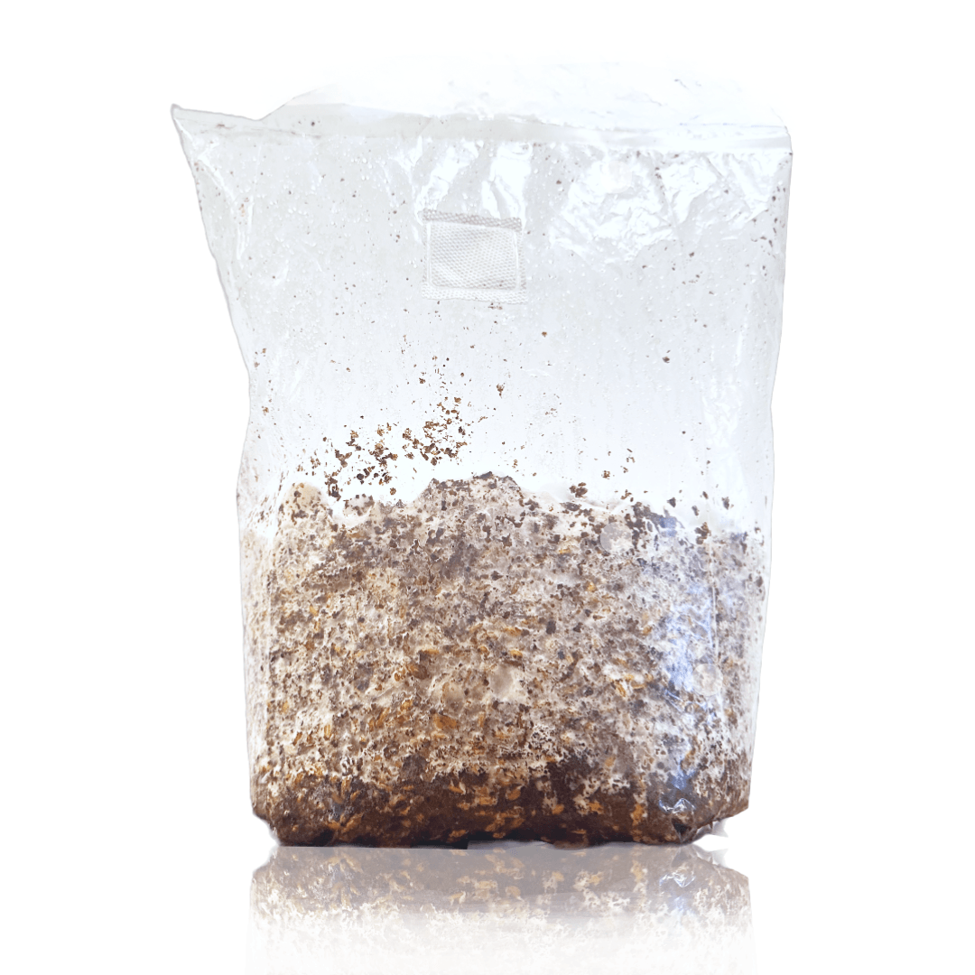 Ready-To-Fruit Grow Block