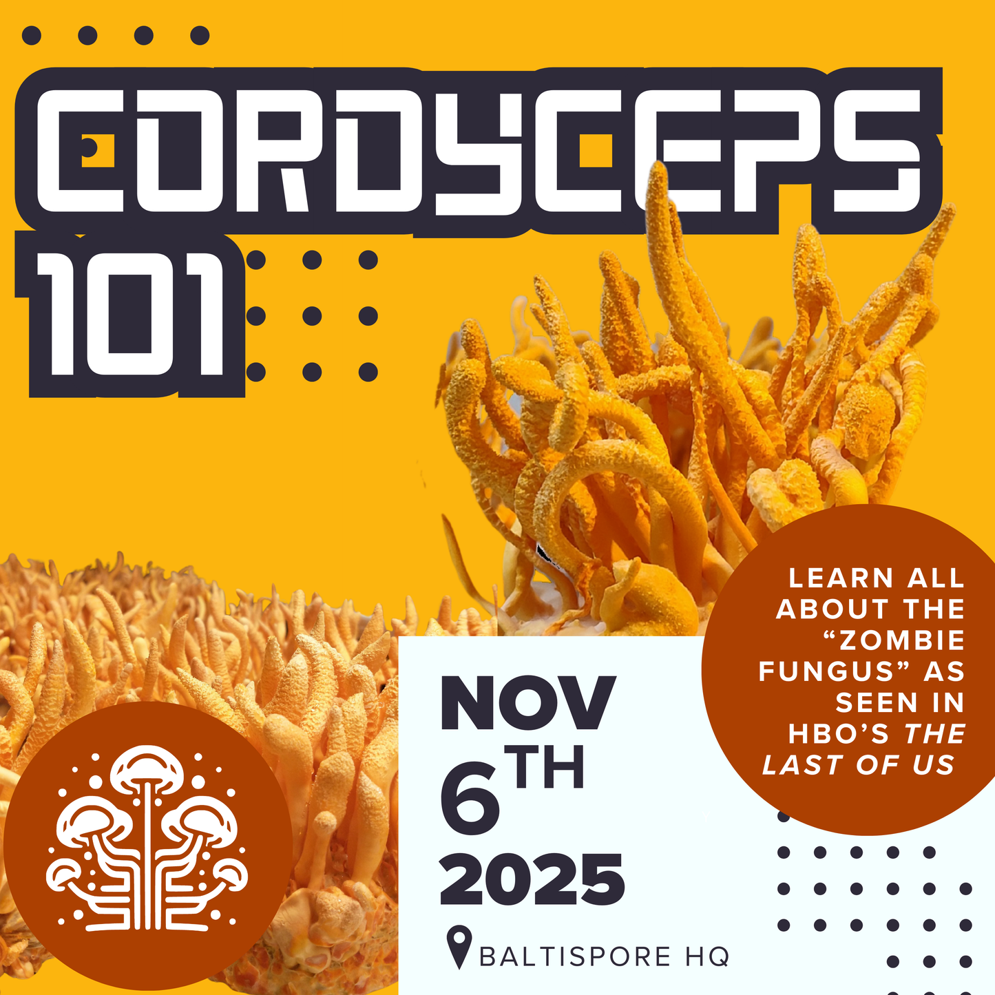 Cordyceps 101