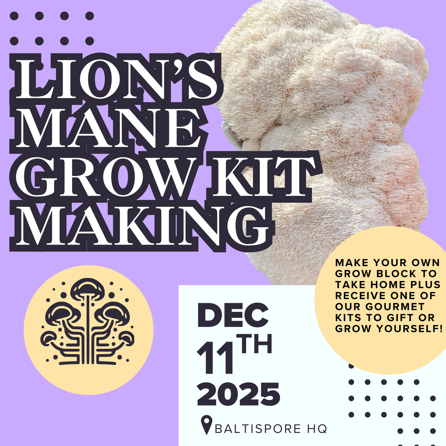 Lion's Mane Grow Kit Making