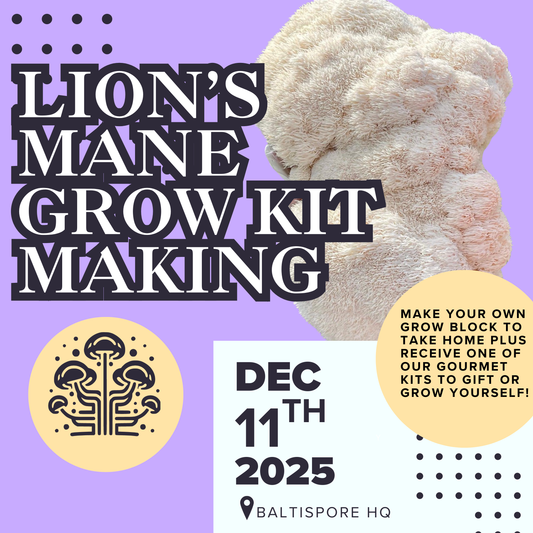 Lion's Mane Grow Kit Making