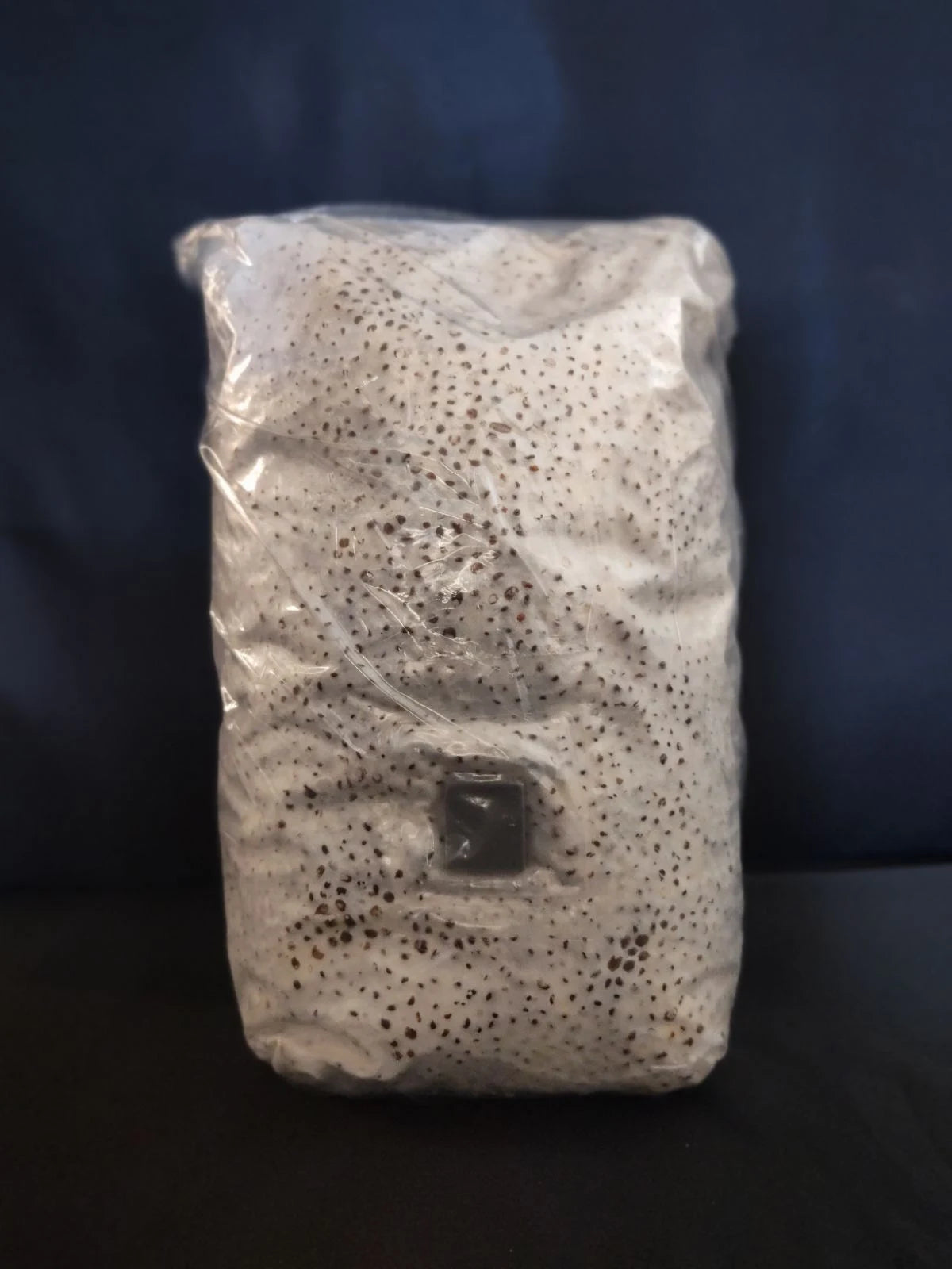 Colonized Grain Spawn (15lbs)