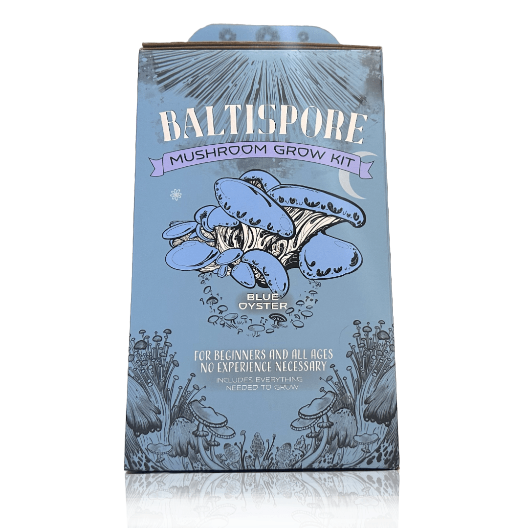 Blue Oyster “Ready-To-Fruit” Mushroom Grow Kit - BaltiSpore
