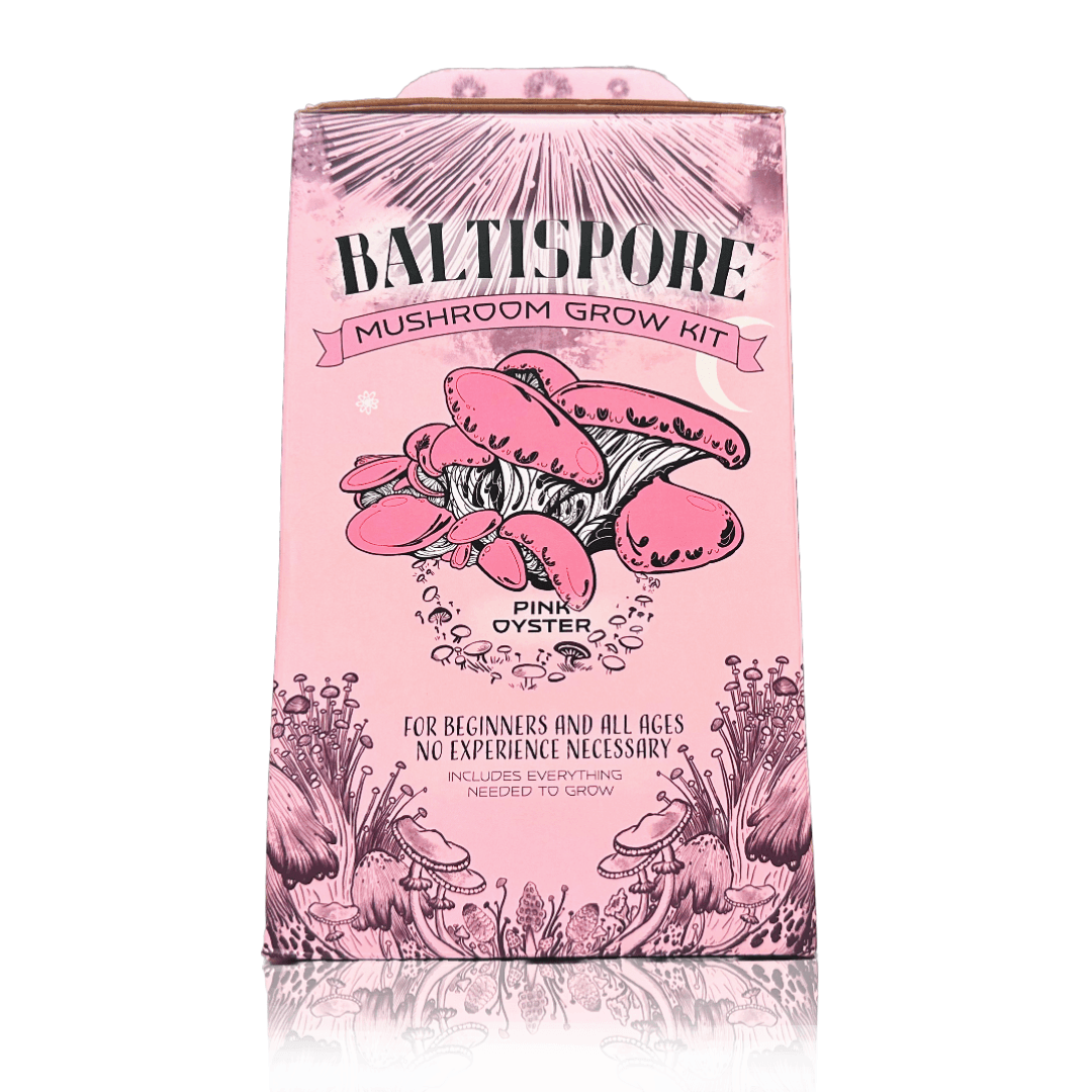 Pink Oyster “Ready-To-Fruit” Mushroom Grow Kit - BaltiSpore