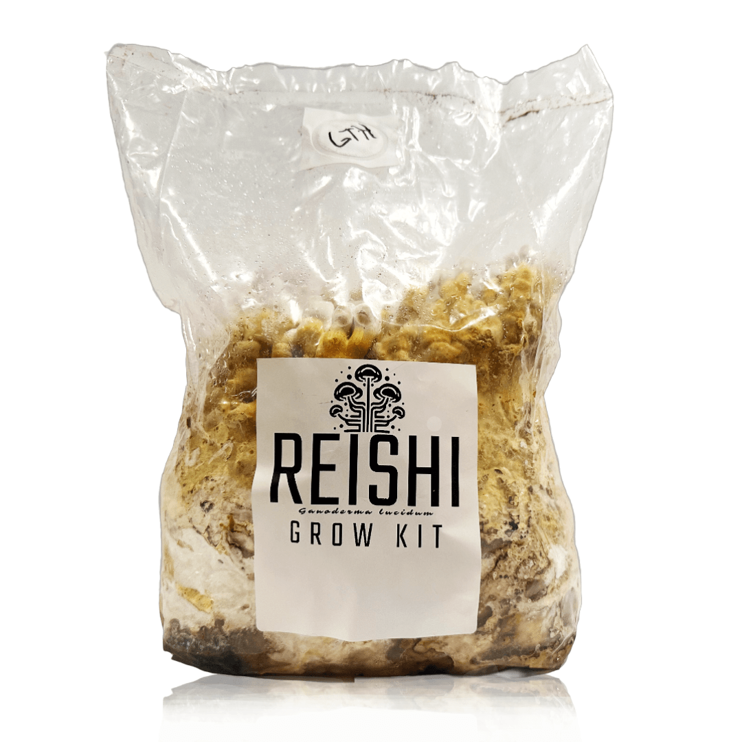 Reishi “Set & Forget” Grow Kit - BaltiSpore