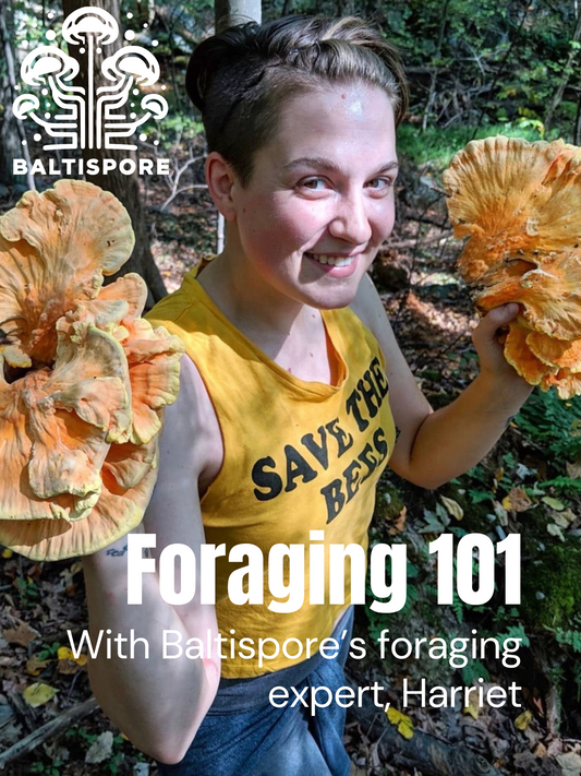 Foraging 101 Class (May 25th)