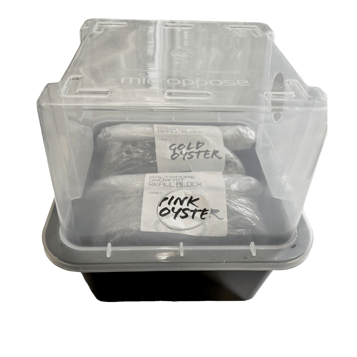 BaltiSpore Grow Bundle - BaltiSpore