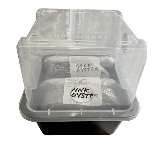 BaltiSpore Grow Bundle - BaltiSpore