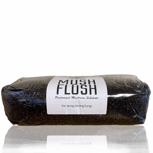 MUSH FLUSH™️