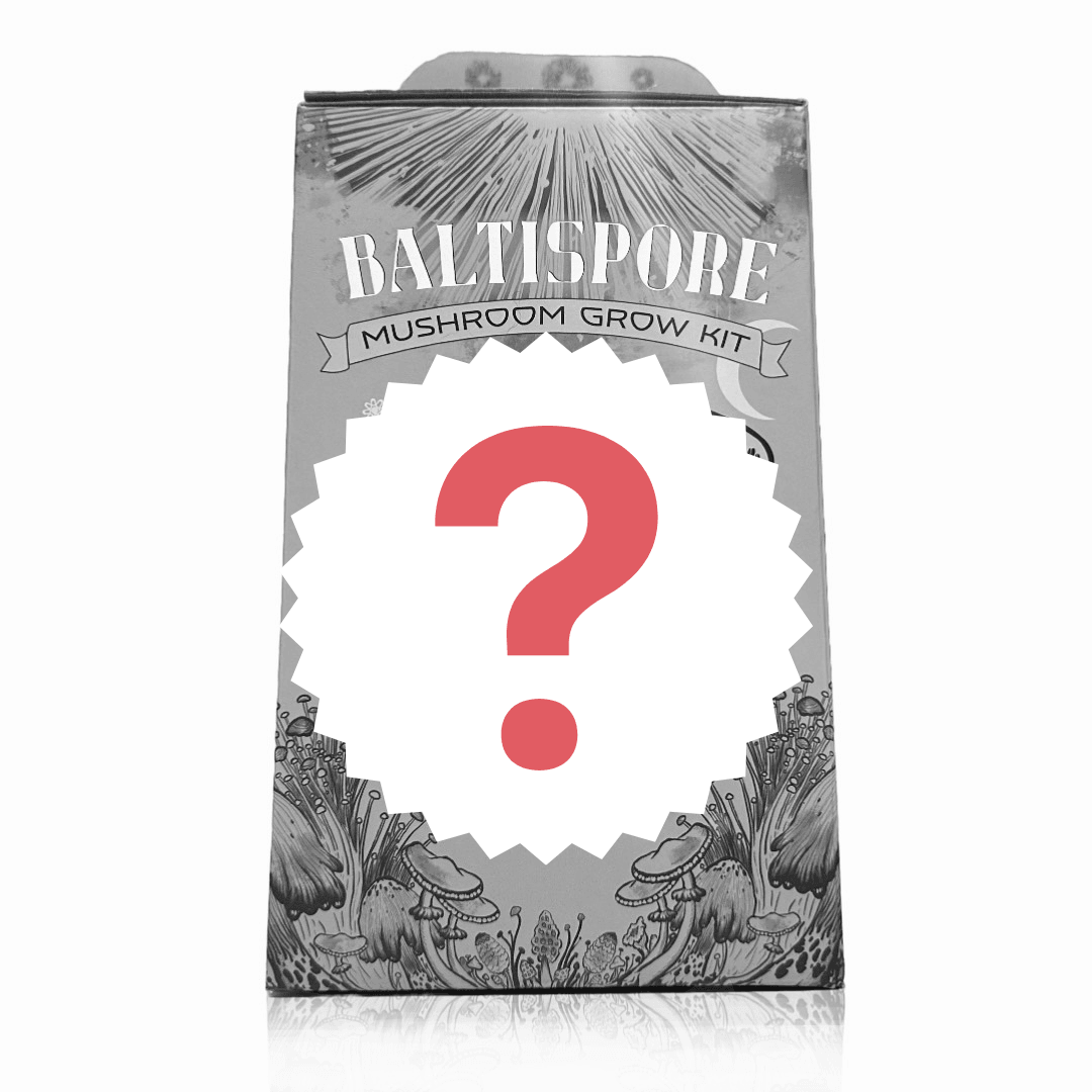 "Surprise Me" Mushroom Grow Kit - BaltiSpore