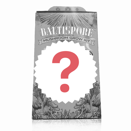 "Surprise Me" Mushroom Grow Kit - BaltiSpore