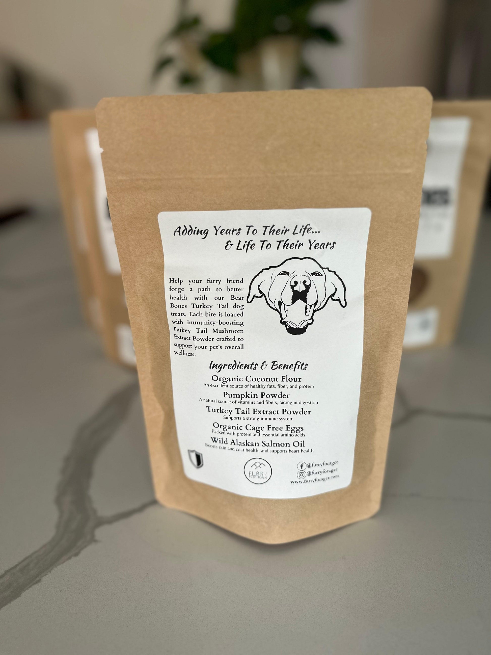Bear Bones - Turkey Tail Infused Dog Treats - BaltiSpore
