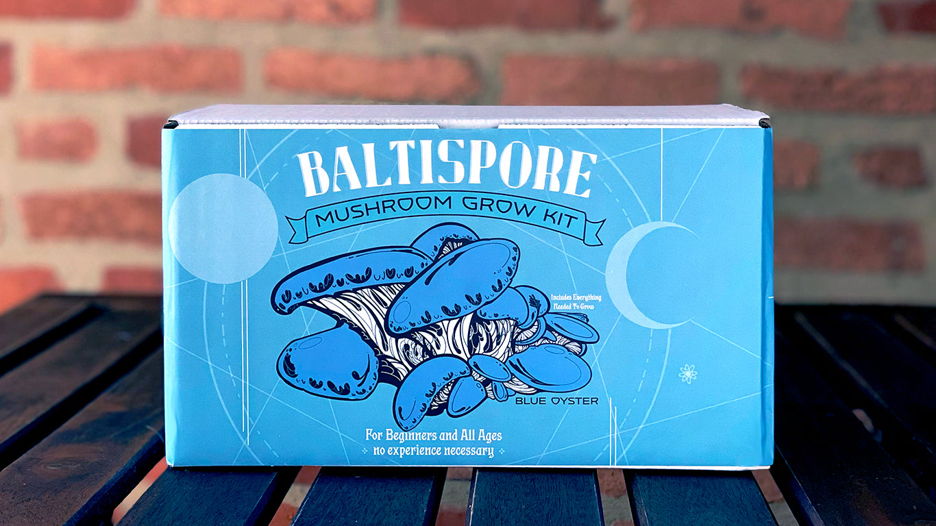 Ready-To-Fruit Blue Oyster Mushroom Grow Kit
