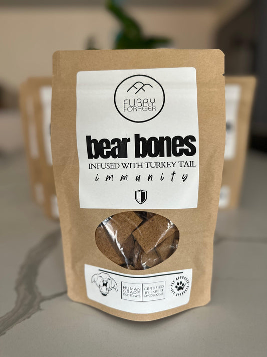 Bear Bones - Turkey Tail Infused Dog Treats - BaltiSpore