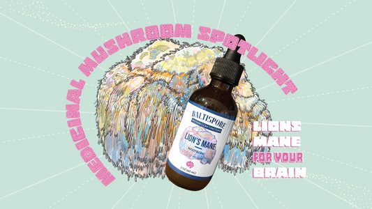 The Power of Lion's Mane: My Personal Journey with This Life-Changing Mushroom - BaltiSpore