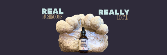 Lion’s Mane mushroom grow block with BaltiSpore Lion’s Mane tincture bottle placed in front. Bold text reads “REAL MUSHROOMS” and “REALLY LOCAL” against a dark background.