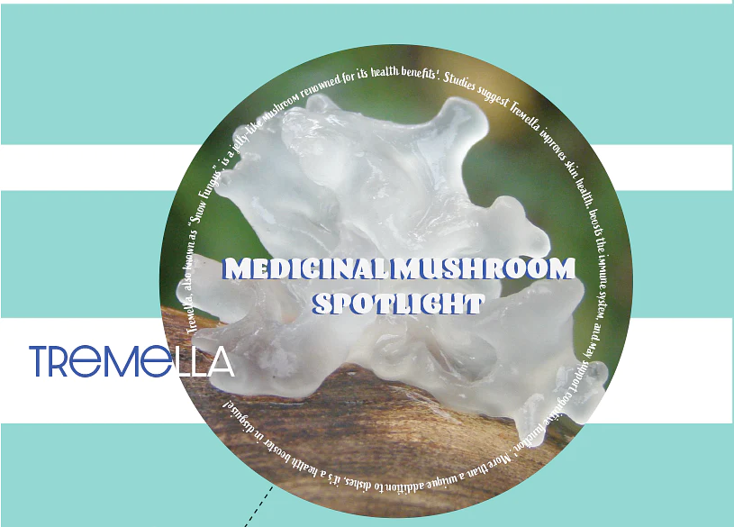 The Beauty-Boosting Mushroom: Tremella