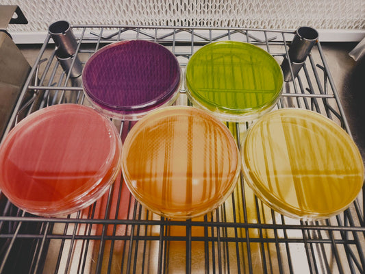 Agar Plates