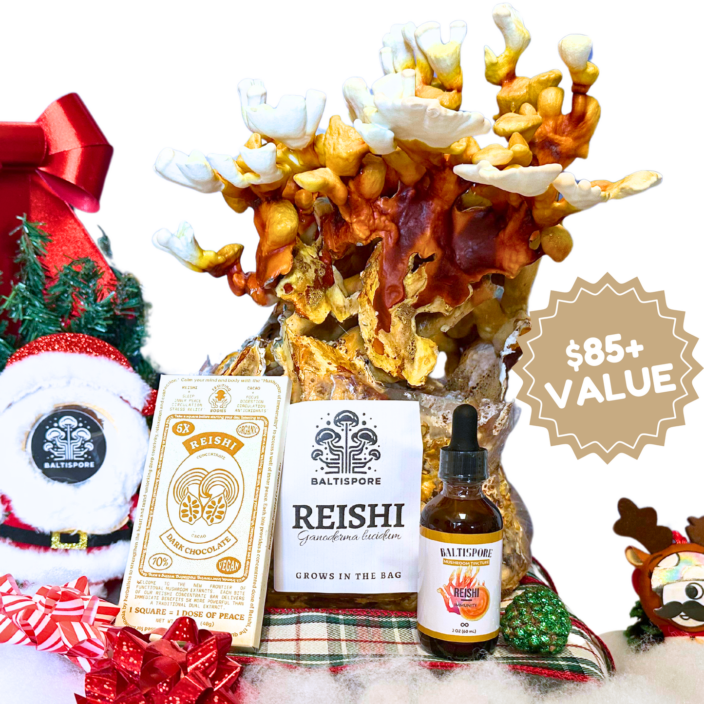 Reishi Wellness Bundle