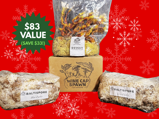 Go Out and Grow Bundle