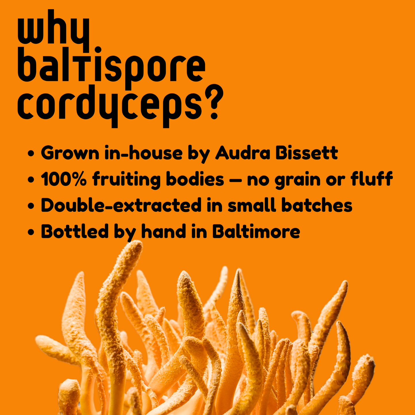 Cordyceps Mushroom Tincture