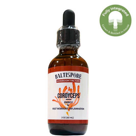 Cordyceps Mushroom Tincture