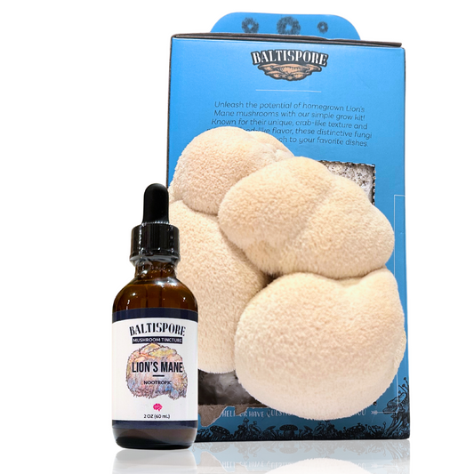 Lion’s Mane Wellness Bundle: Grow Kit + Tincture