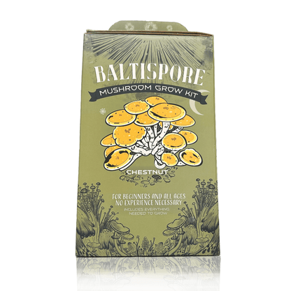 Chestnut “Ready-To-Fruit” Mushroom Grow Kit - BaltiSpore