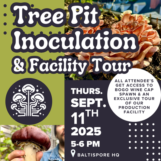 Tree Pit Inoculation & Facility Tour