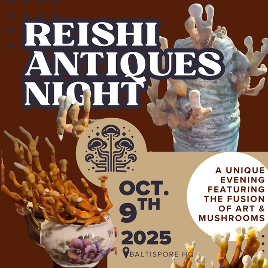 Reishi Antiques Night