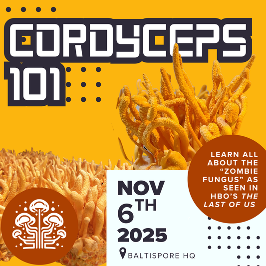 Cordyceps 101