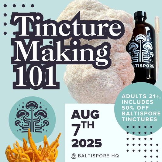 Tincture Making 101 – Craft Your Own Mushroom Tinctures