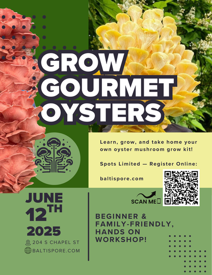 Grow Gourmet Oyster Mushrooms