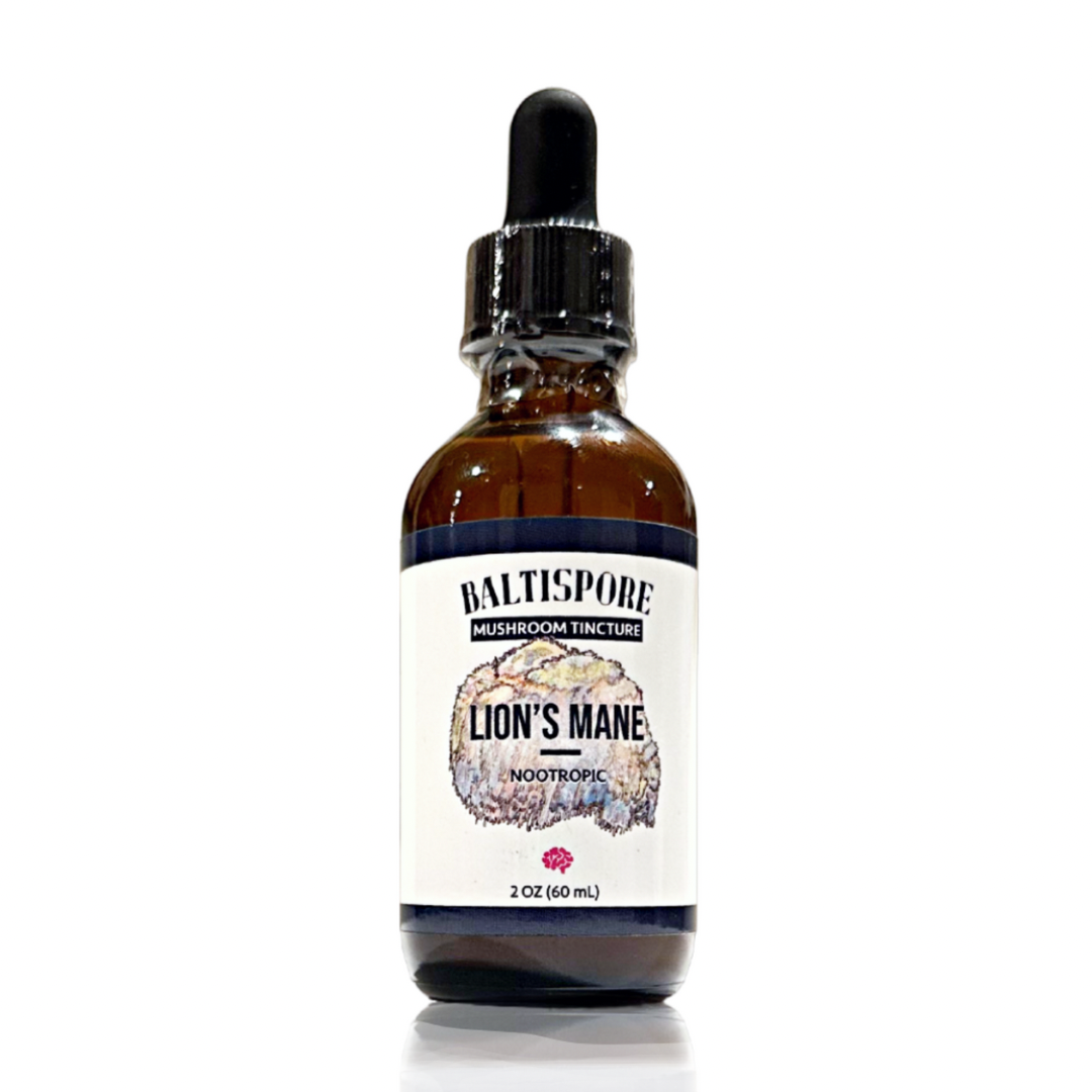 image of a bottle of Baltispore Lion's Mane Tincture, a wellness product know for its potential brain-boostin benefits. The bottle features a dark amber color with a dropper lid, set against a neutral background.