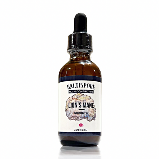 image of a bottle of Baltispore Lion's Mane Tincture, a wellness product know for its potential brain-boostin benefits. The bottle features a dark amber color with a dropper lid, set against a neutral background.