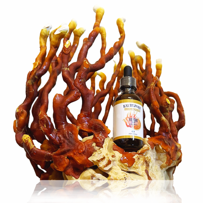 Reishi Mushroom Tincture