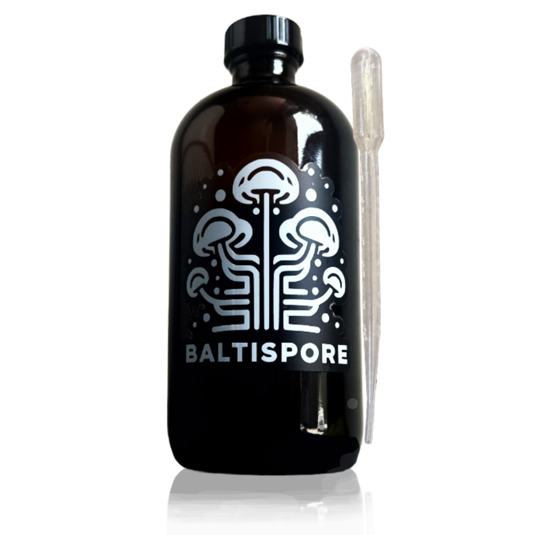 Baltispore 16oz Refillable Growler Bottle (Unfilled)