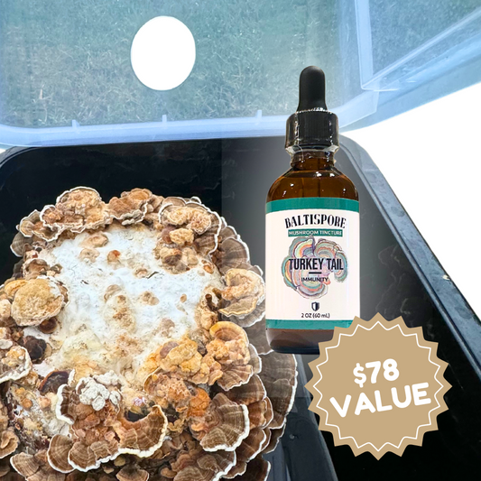 Turkey Tail Wellness Bundle