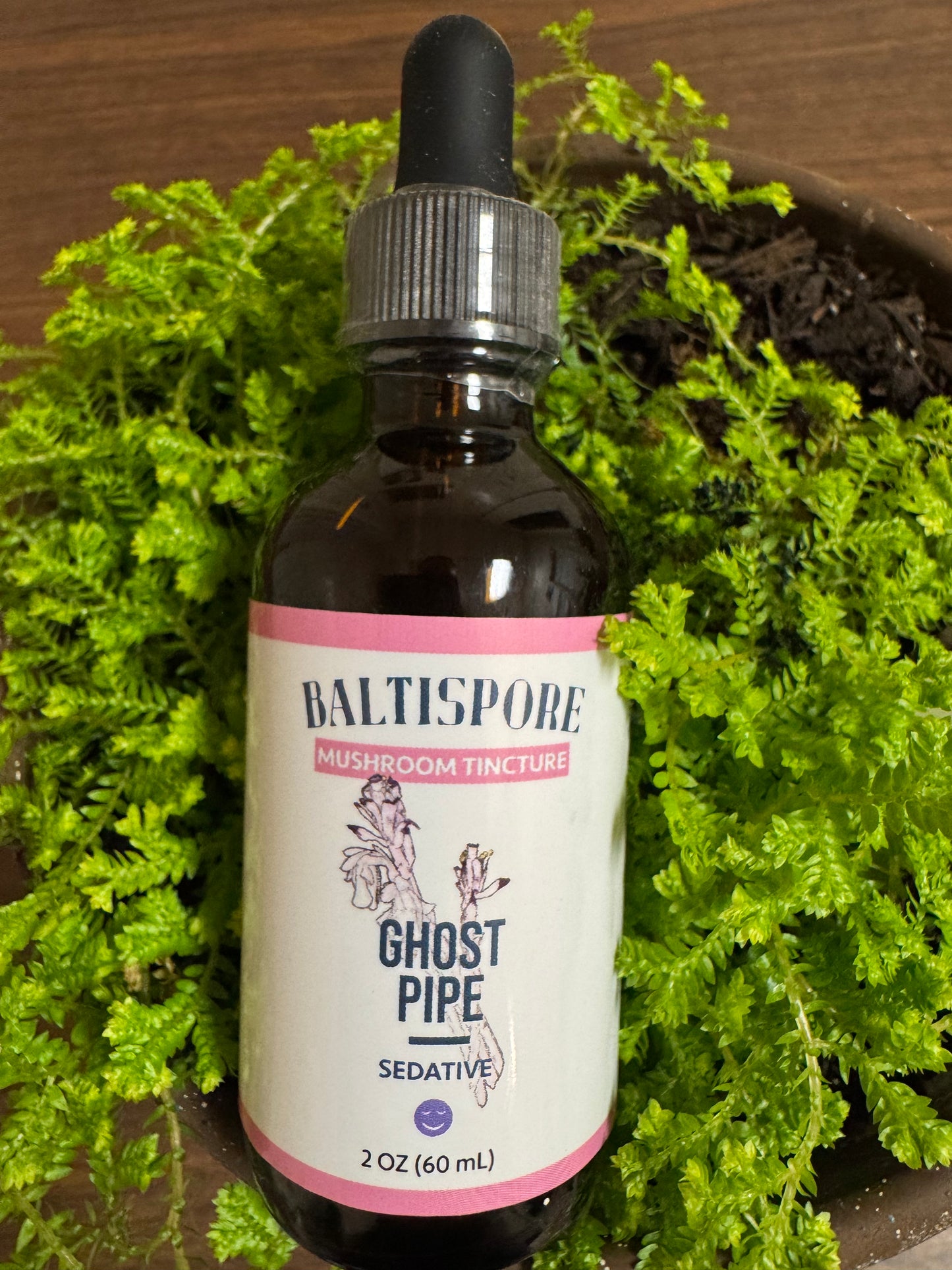 Ghost Pipe Tincture