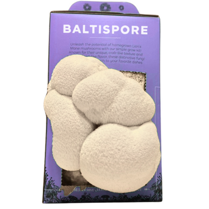 Lion’s Mane “Ready-To-Fruit” Grow Kit