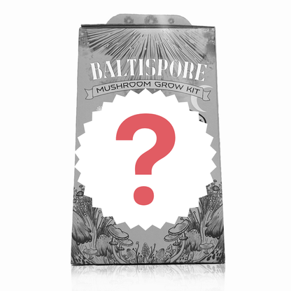 "Surprise Me" Mushroom Grow Kit - BaltiSpore